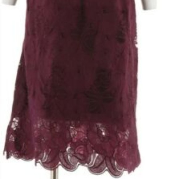 NWT ISAAC MIZRAHI‎ LACE FLUTTER SLV SHEATH DRESS 12 - Picture 8 of 11